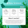 Irish Sea Moss Gummies Detox Thyroid Support for Women Men Black Seed Oil Manuka Honey Fenugreek Chlorophyll Gut Health Immune Support Seamoss Burdock